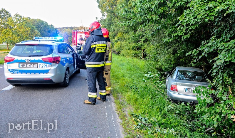 Pijany i bez uprawnień wjechał do rowu zdjęcie nr 206055