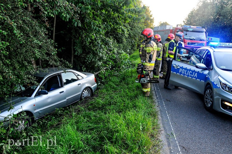 Pijany i bez uprawnień wjechał do rowu zdjęcie nr 206053