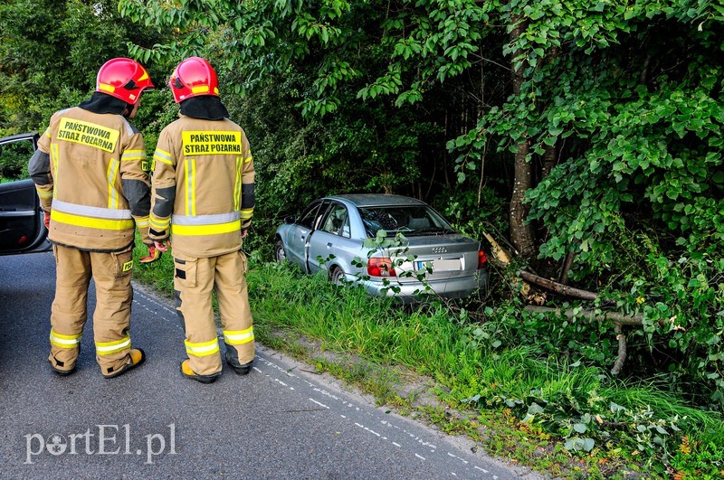 Pijany i bez uprawnień wjechał do rowu zdjęcie nr 206056