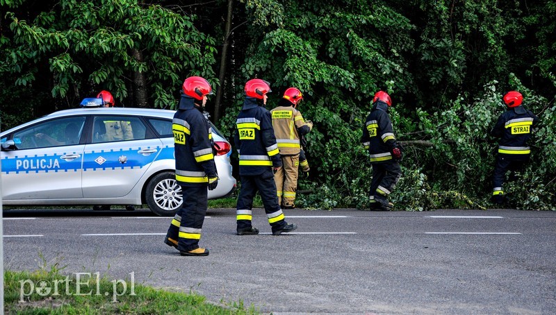 Pijany i bez uprawnień wjechał do rowu zdjęcie nr 206050