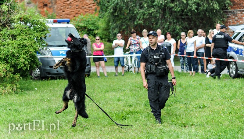 Zabawa z policjantami zdjęcie nr 206092