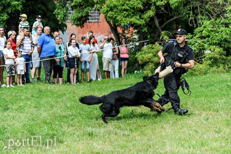 Zabawa z policjantami zdjęcie nr 206093