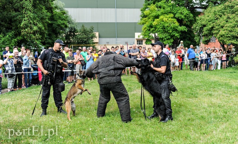 Zabawa z policjantami zdjęcie nr 206095