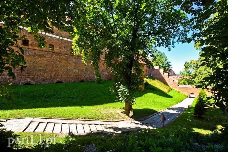 Wycieczka nie z tej ziemi zdjęcie nr 206280