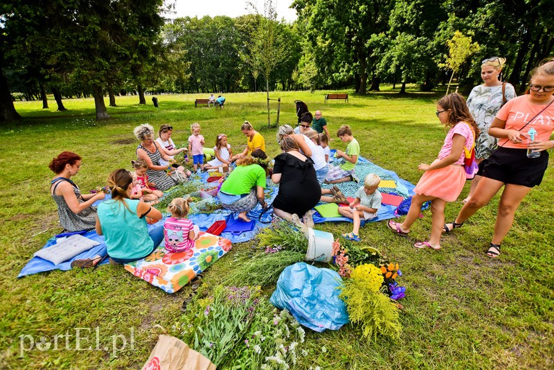 Relaks w parku dla każdego zdjęcie nr 206491