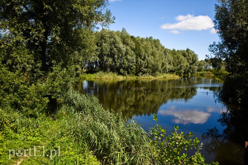 Nie ma wody na Żuławach zdjęcie nr 207092