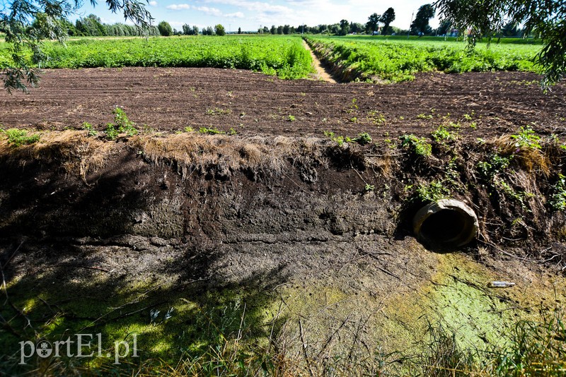 Nie ma wody na Żuławach zdjęcie nr 207078