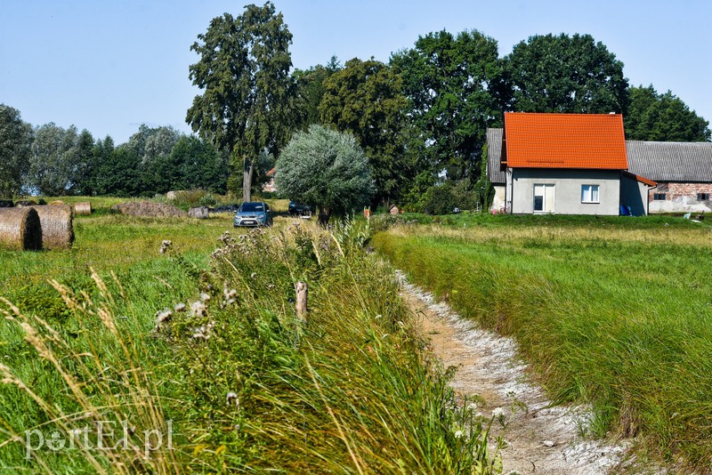 Nie ma wody na Żuławach zdjęcie nr 207059