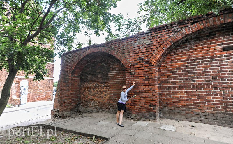 Stary i magiczny, taki jest tylko Malbork zdjęcie nr 207326