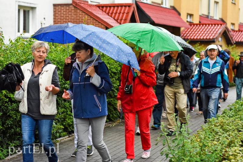 Mniejszości narodowych szukali na cmentarzach zdjęcie nr 207714