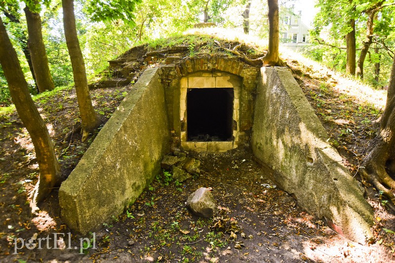 Kiedyś rządzili tu biskupi, dziś to miasto pełne zabytków zdjęcie nr 208173