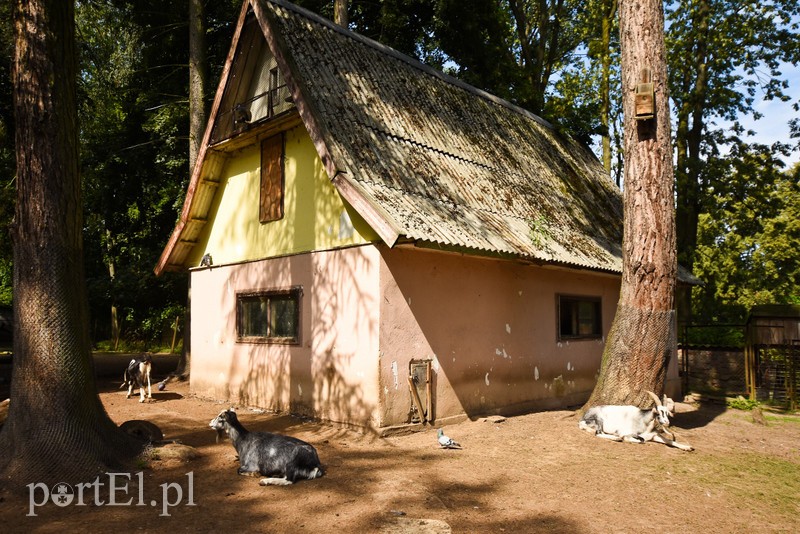 Kiedyś rządzili tu biskupi, dziś to miasto pełne zabytków zdjęcie nr 208074