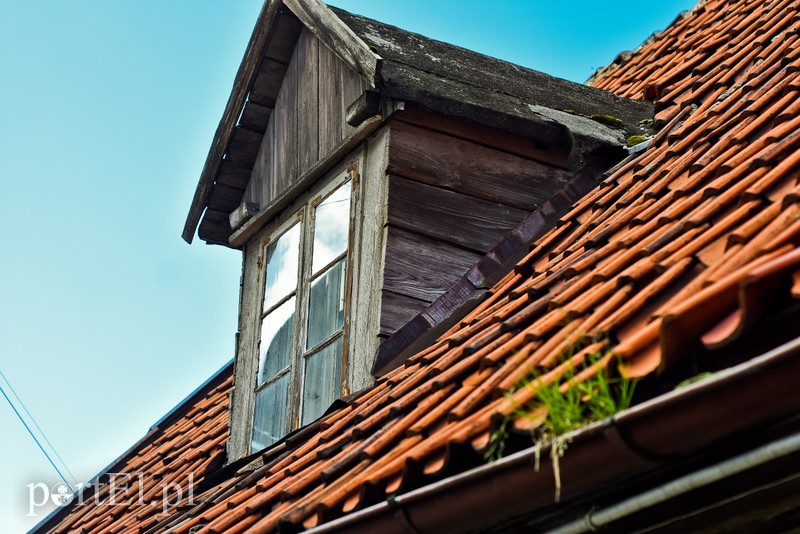 Kiedyś kraina serów i jałowcówki, dziś region do nieśpiesznego odkrywania zdjęcie nr 208598