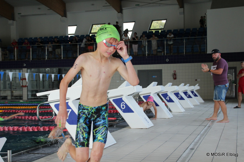 Pływali i biegali w pierwszym elbląskim Aquathlonie zdjęcie nr 209500