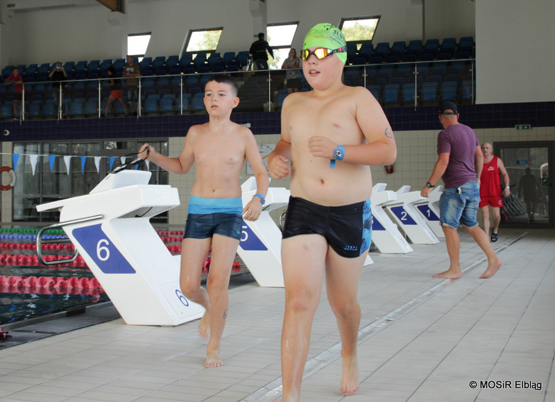 Pływali i biegali w pierwszym elbląskim Aquathlonie zdjęcie nr 209505