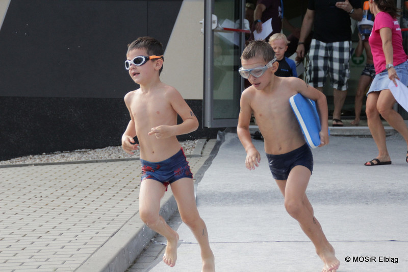 Pływali i biegali w pierwszym elbląskim Aquathlonie zdjęcie nr 209450