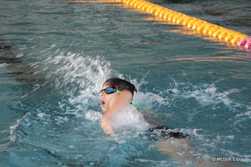 Pływali i biegali w pierwszym elbląskim Aquathlonie zdjęcie nr 209515
