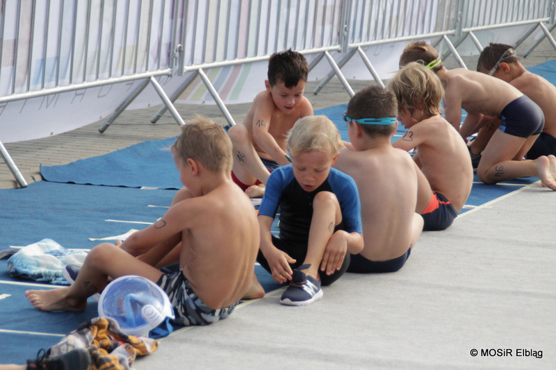 Pływali i biegali w pierwszym elbląskim Aquathlonie zdjęcie nr 209451