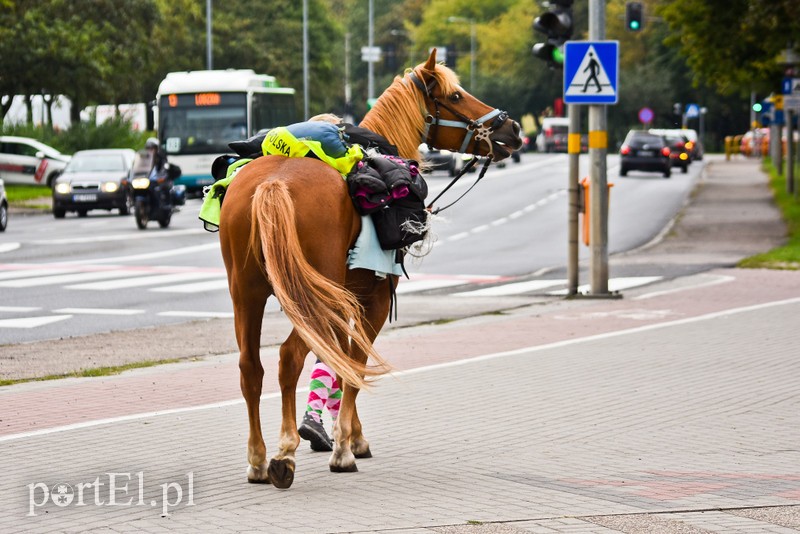 Z Warszawy nad Zalew Wiślany, Spox zdjęcie nr 210293