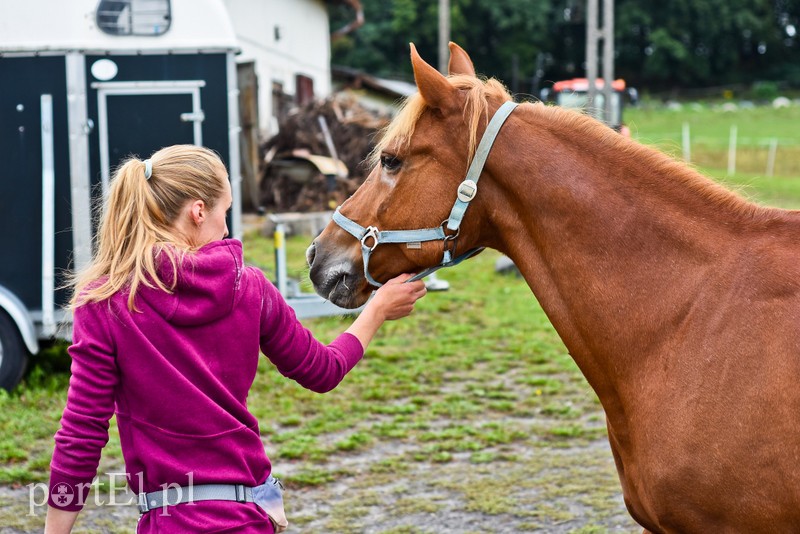 Z Warszawy nad Zalew Wiślany, Spox zdjęcie nr 210275