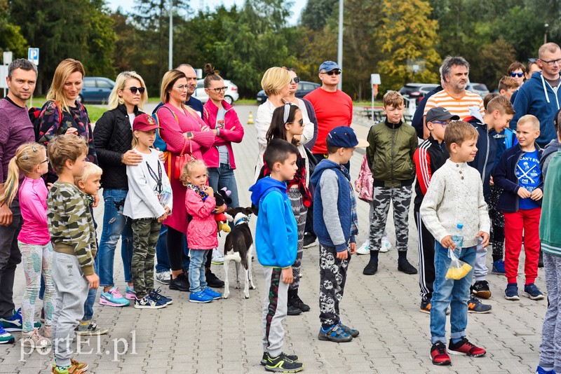 Miasto stawia też na żeglarzy zdjęcie nr 210378