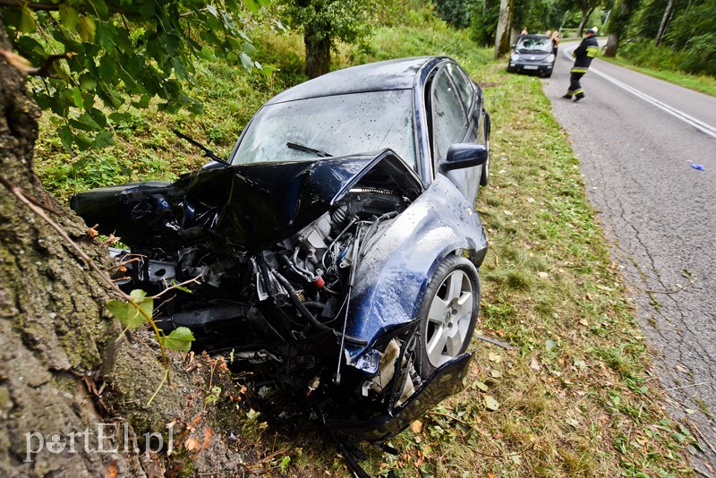 Zasnął za kierownicą i uderzył w drzewo zdjęcie nr 210484