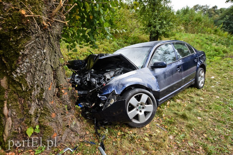 Zasnął za kierownicą i uderzył w drzewo zdjęcie nr 210483