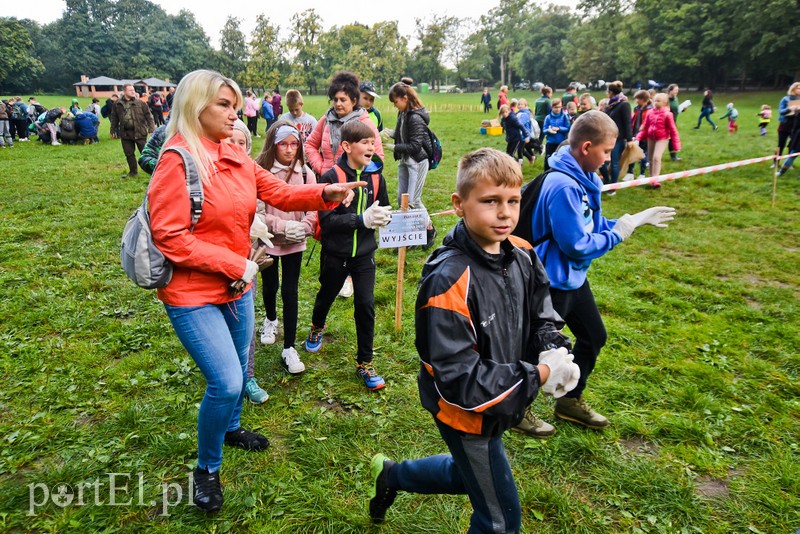 Posprzątali Bażantarnię zdjęcie nr 210826