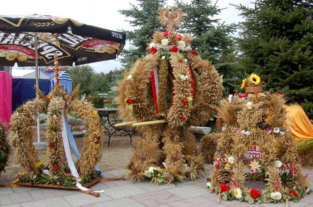 Dożynki w Nowej Holandii zdjęcie nr 16957