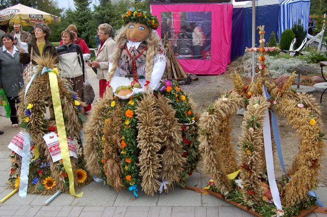Dożynki w Nowej Holandii zdjęcie nr 16954