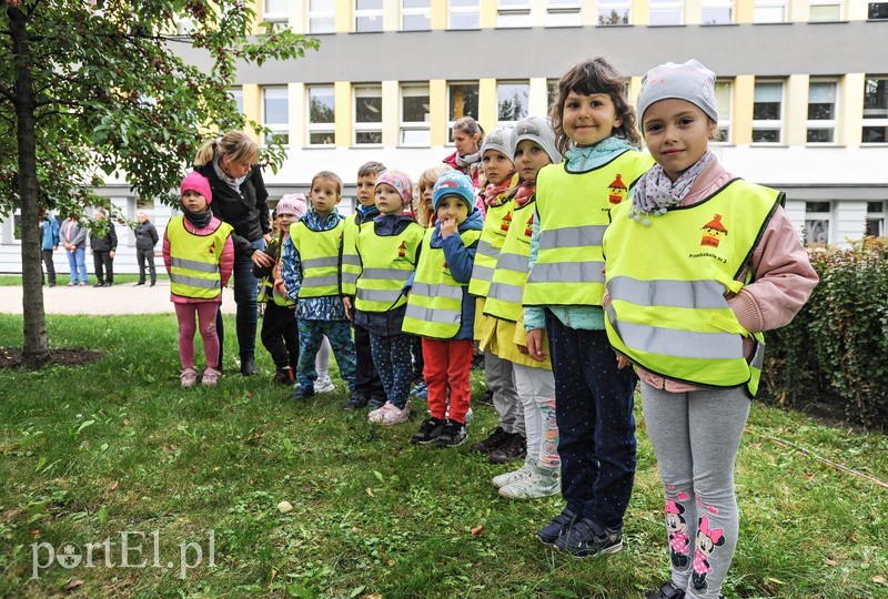 To był fenomen w skali światowej zdjęcie nr 211329