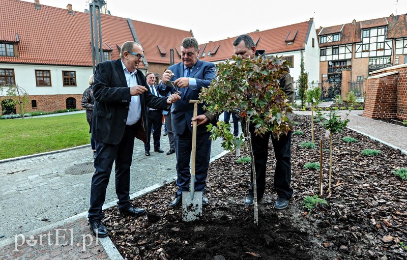  Czytanie będzie miało zapach lawendy zdjęcie nr 212007