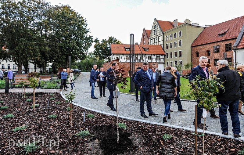  Czytanie będzie miało zapach lawendy zdjęcie nr 212012