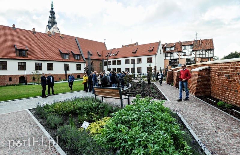  Czytanie będzie miało zapach lawendy zdjęcie nr 212009