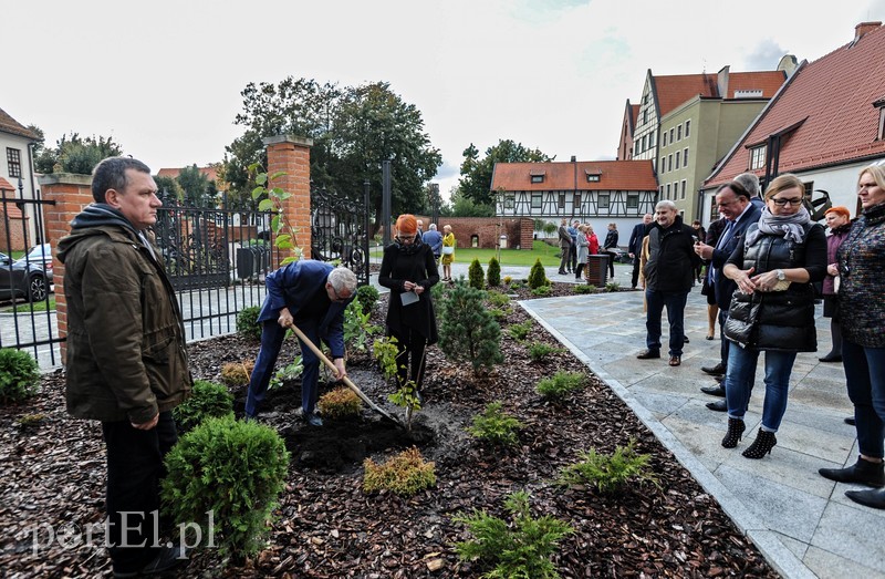  Czytanie będzie miało zapach lawendy zdjęcie nr 212021