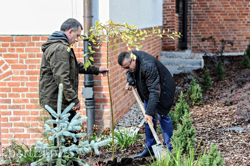  Czytanie będzie miało zapach lawendy zdjęcie nr 212023