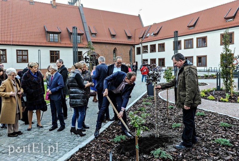  Czytanie będzie miało zapach lawendy zdjęcie nr 212010