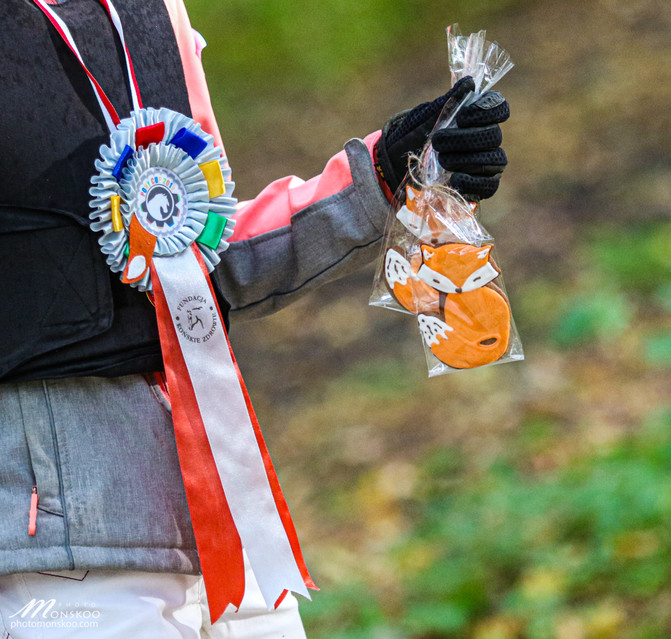 Pony Cup 2019 zakończony biegiem św. Huberta zdjęcie nr 212104