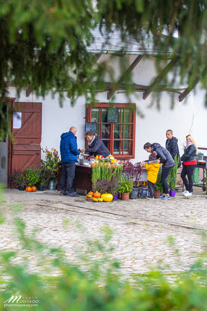 Pony Cup 2019 zakończony biegiem św. Huberta zdjęcie nr 212102