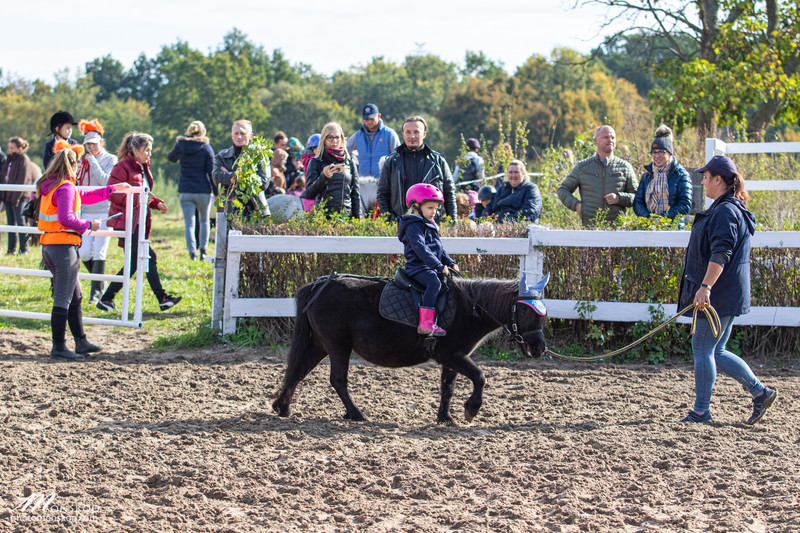 Pony Cup 2019 zakończony biegiem św. Huberta zdjęcie nr 212101