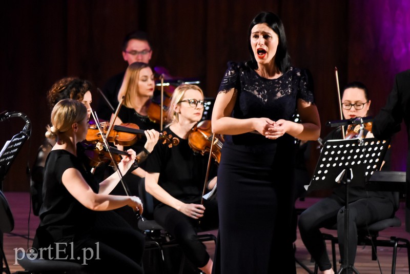 Muzyczna historia Europy w Elblągu zdjęcie nr 213178