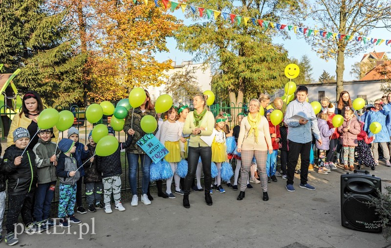 Tu wskoczył Konik Polny zdjęcie nr 213479