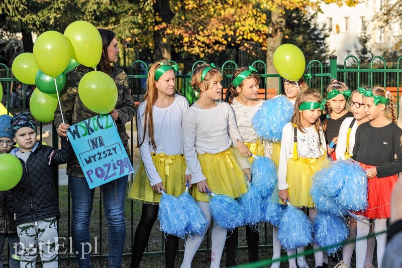 Tu wskoczył Konik Polny zdjęcie nr 213480