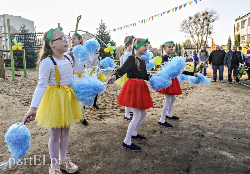 Tu wskoczył Konik Polny zdjęcie nr 213488