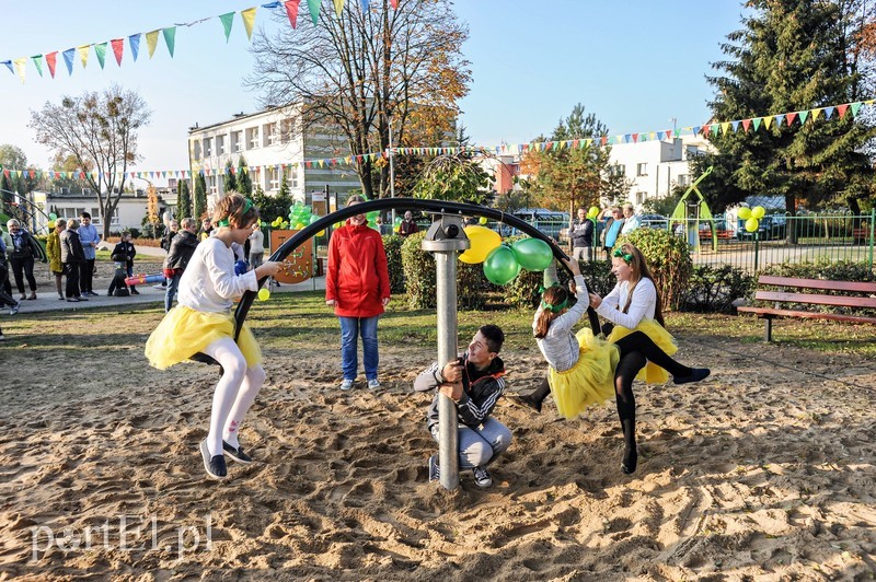 Tu wskoczył Konik Polny zdjęcie nr 213493