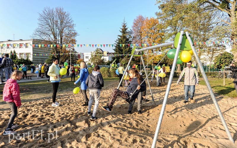 Tu wskoczył Konik Polny zdjęcie nr 213492