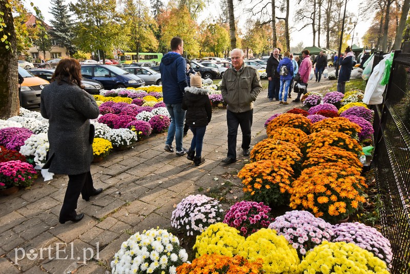 Elblążanie odwiedzają groby bliskich zdjęcie nr 214156