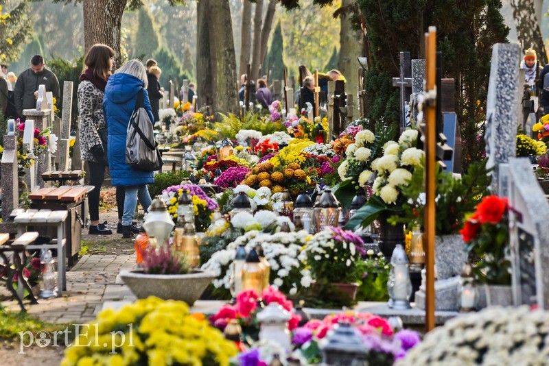 Elblążanie odwiedzają groby bliskich zdjęcie nr 214145