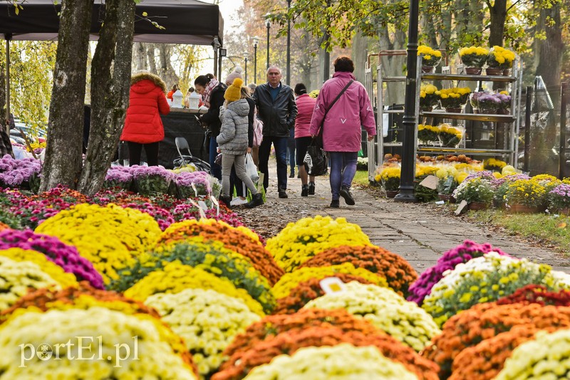 Elblążanie odwiedzają groby bliskich zdjęcie nr 214154