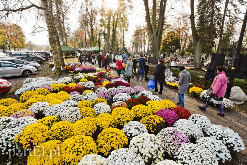 Elblążanie odwiedzają groby bliskich zdjęcie nr 214157